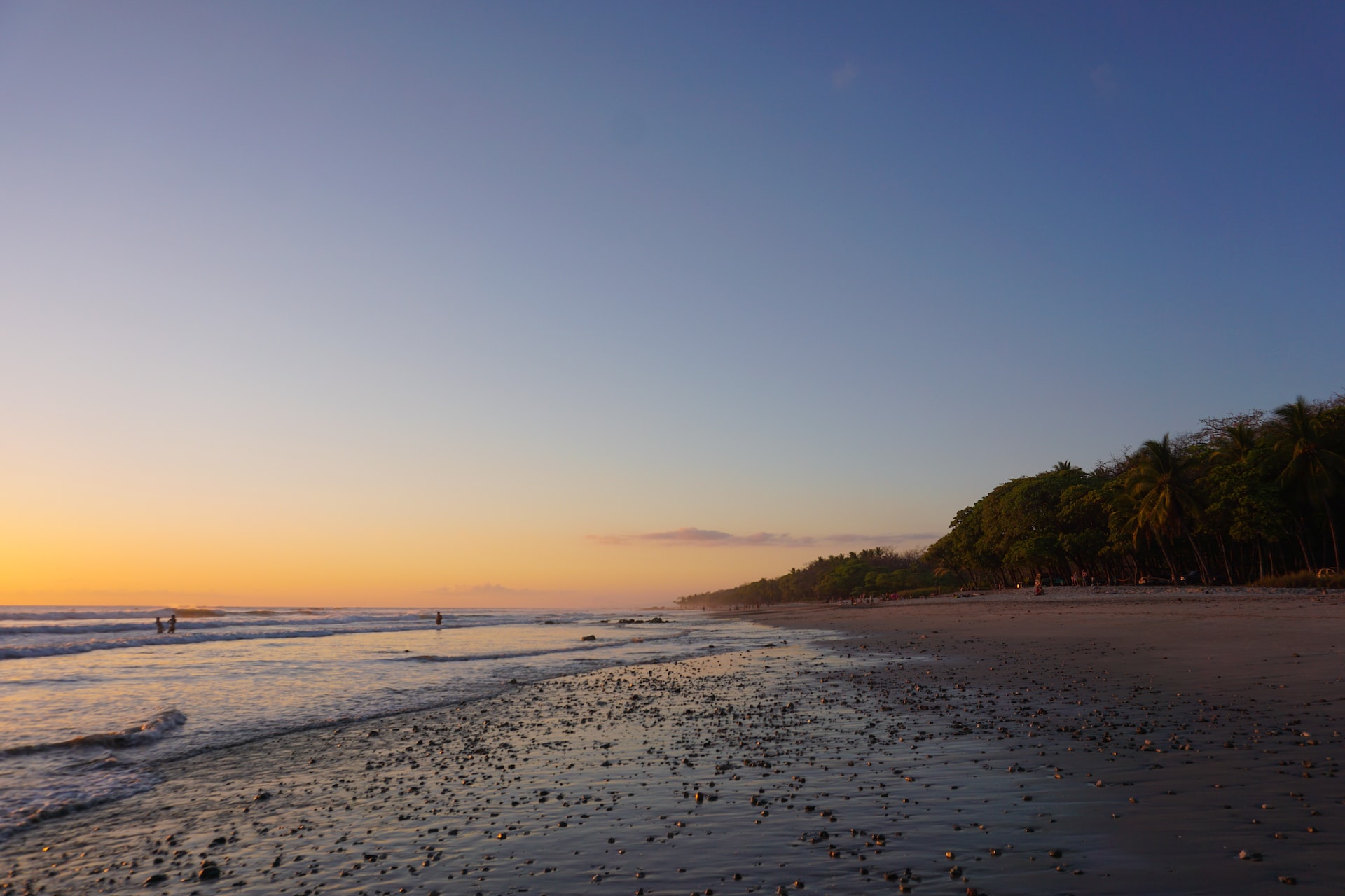 Top 5 Things To Do In Santa Teresa Costa Rica